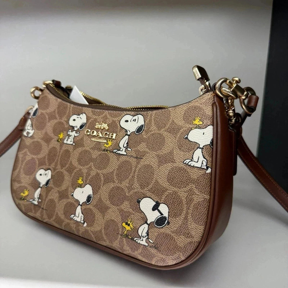 COACH x Peanuts Snoopy & Woodstock Signature Brown Crossbody Bag